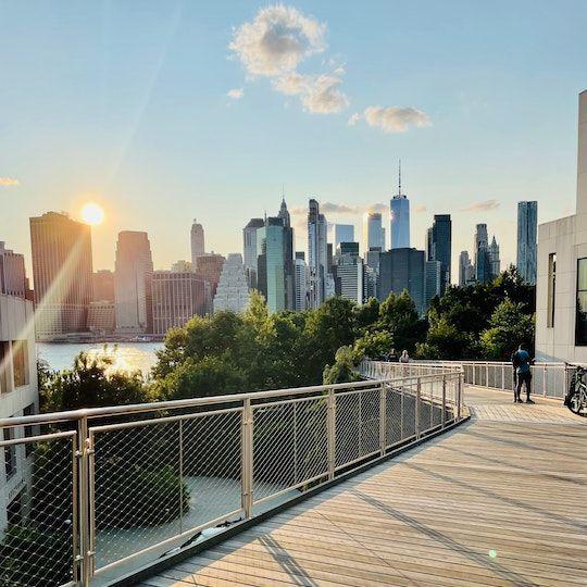 View of New York City from Brooklyn Bridge Park
