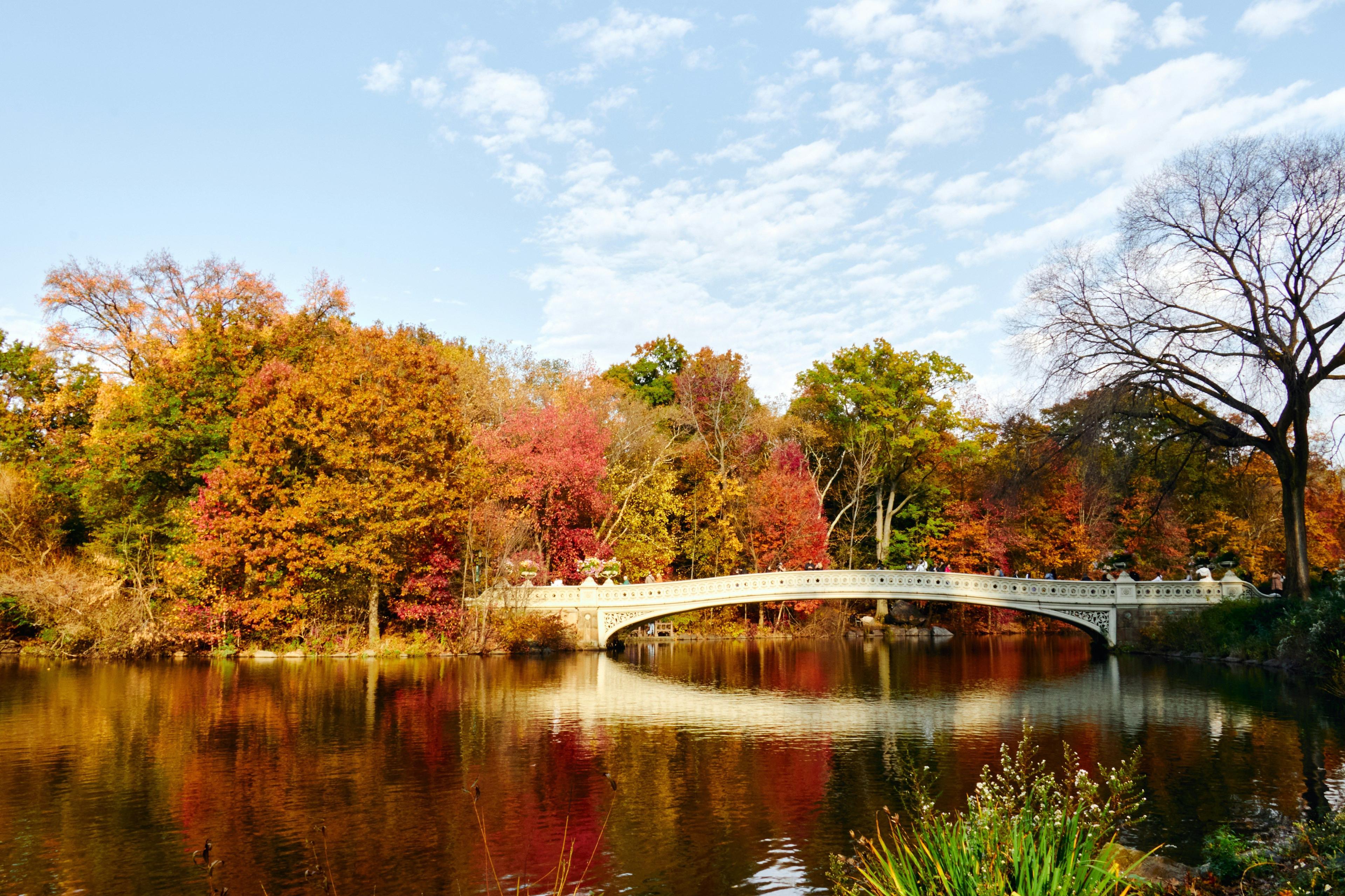 The Bow Bridge in Central Park in Autumn