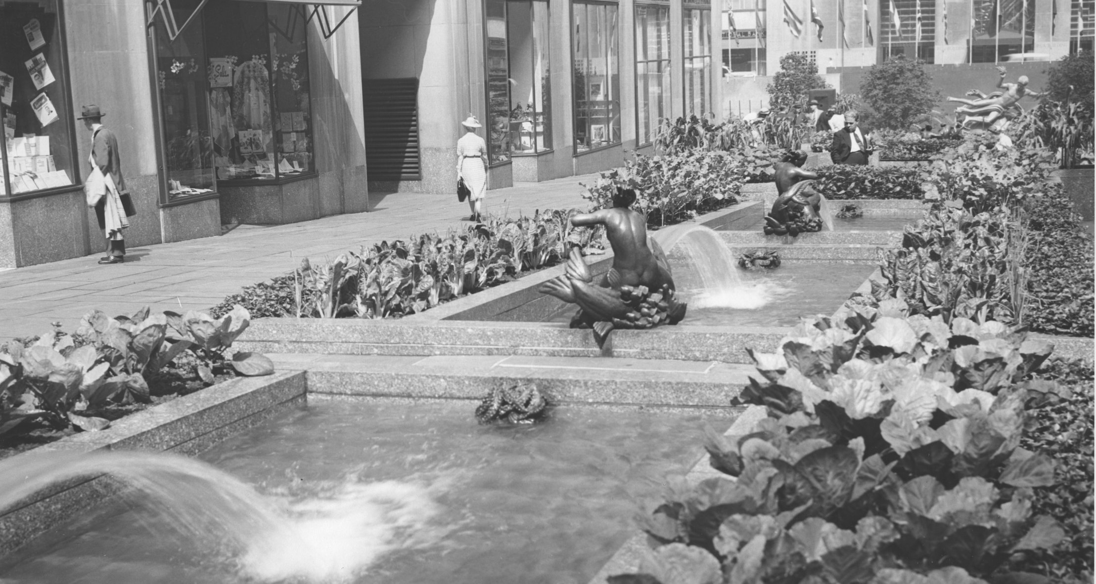 Rockefeller Center’s Victory Garden filled with red cabbage, parsley, broccoli, onions, Swiss chard, carrots, and more in the Channel Gardens