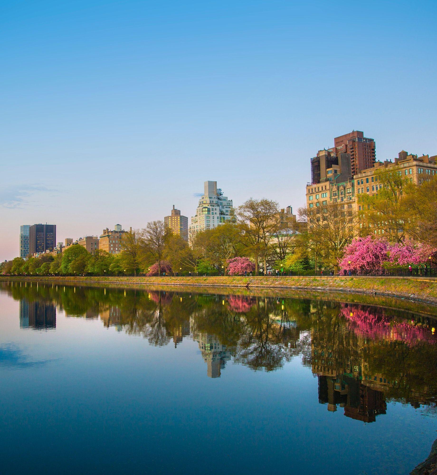 Row of New York City buildings next to the water